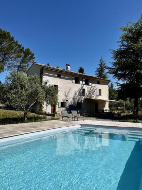La bastide des oliviers